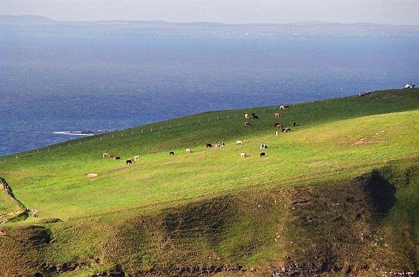 eire 258flm eire 258flm