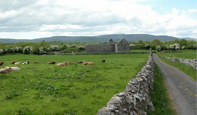 eire 594sdp
