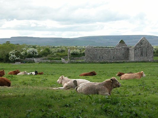 eire 530sd