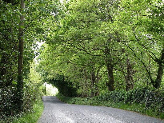 eire 610sd icon