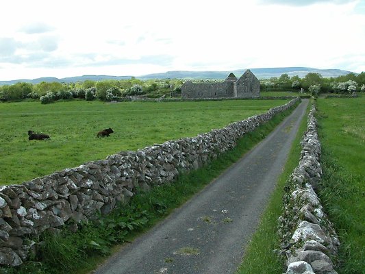 eire 604sd