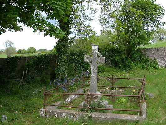 c eire 305jd