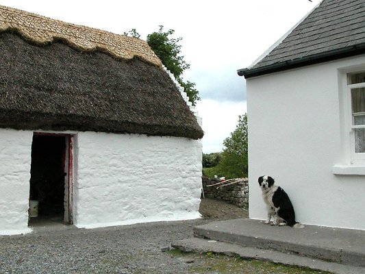 a eire 731sd