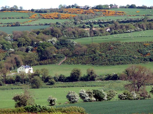 eire 416sd